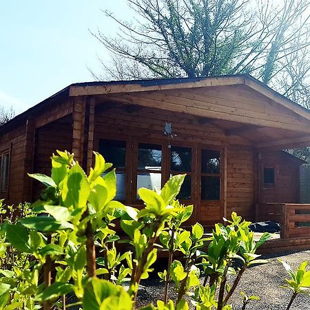 Pine Green Valley Otel Liskeard Dış mekan fotoğraf